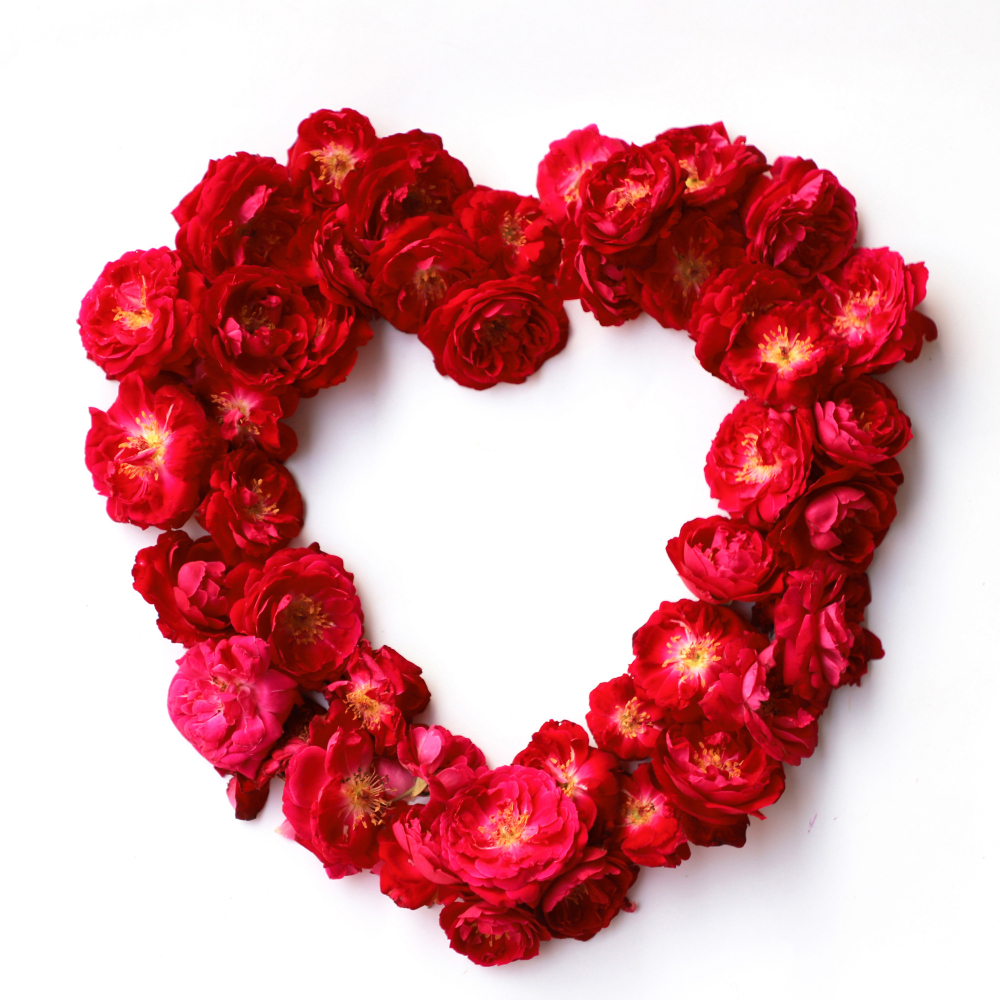 Dla kogo jest Cardio?