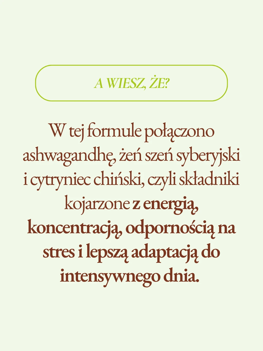 Energia plus koncentracja - formuła ziołowa - 6