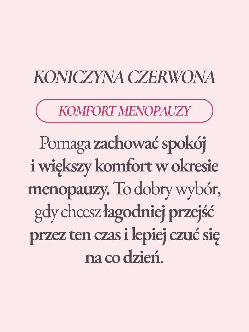 Koniczyna czerwona - 2