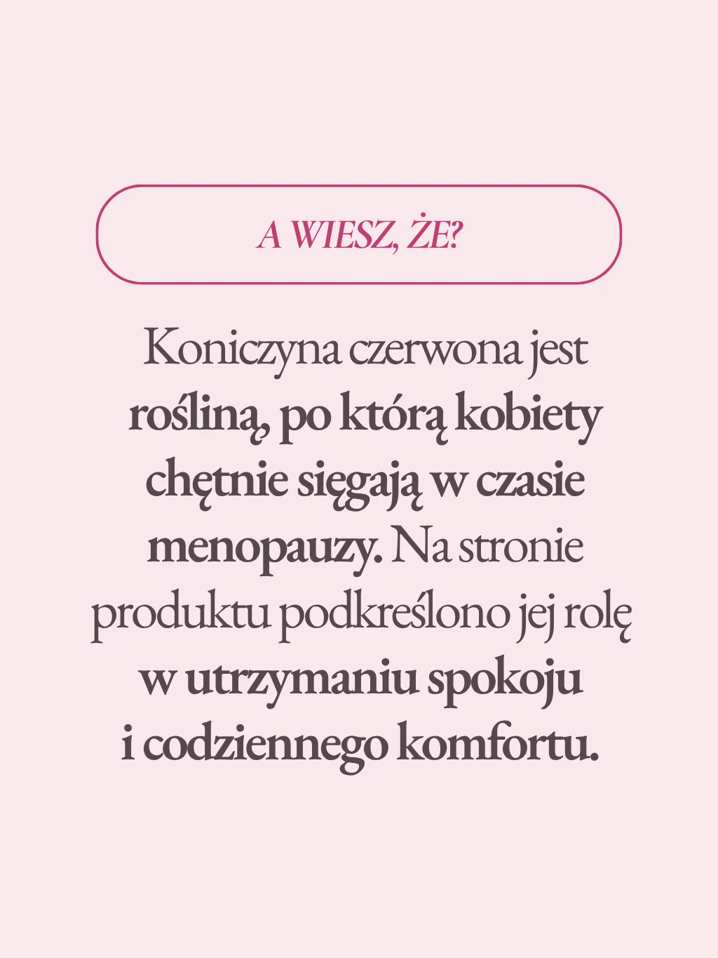 Koniczyna czerwona - 6