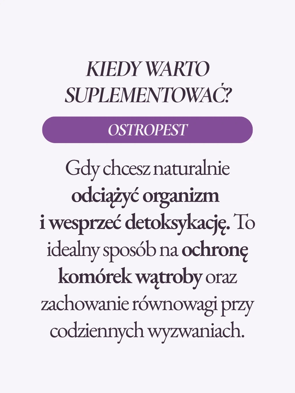 Ostropest - 3
