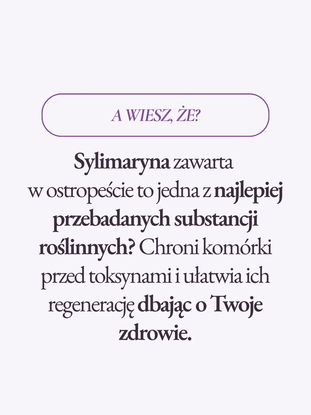 Ostropest - 6