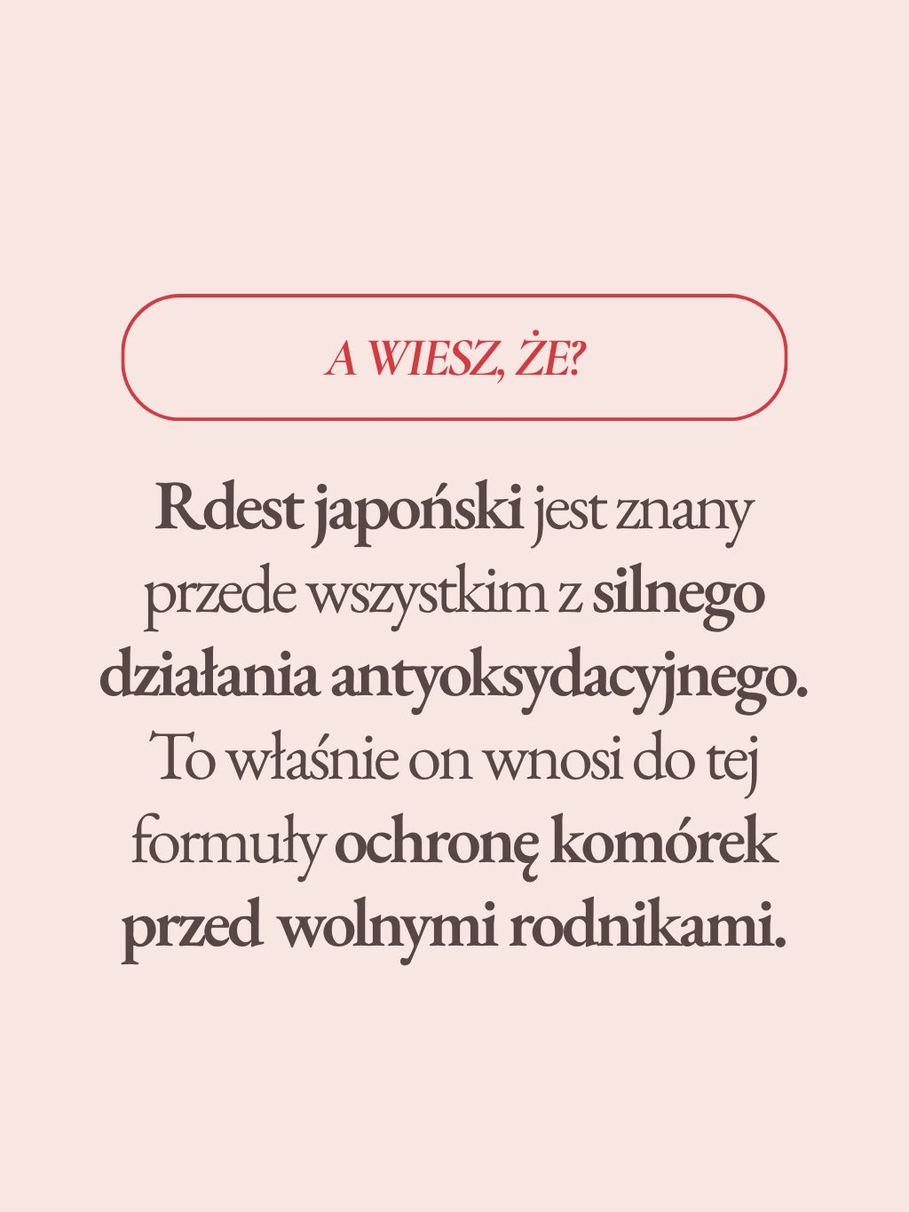 Siła naczyń - formuła ziołowa - 6