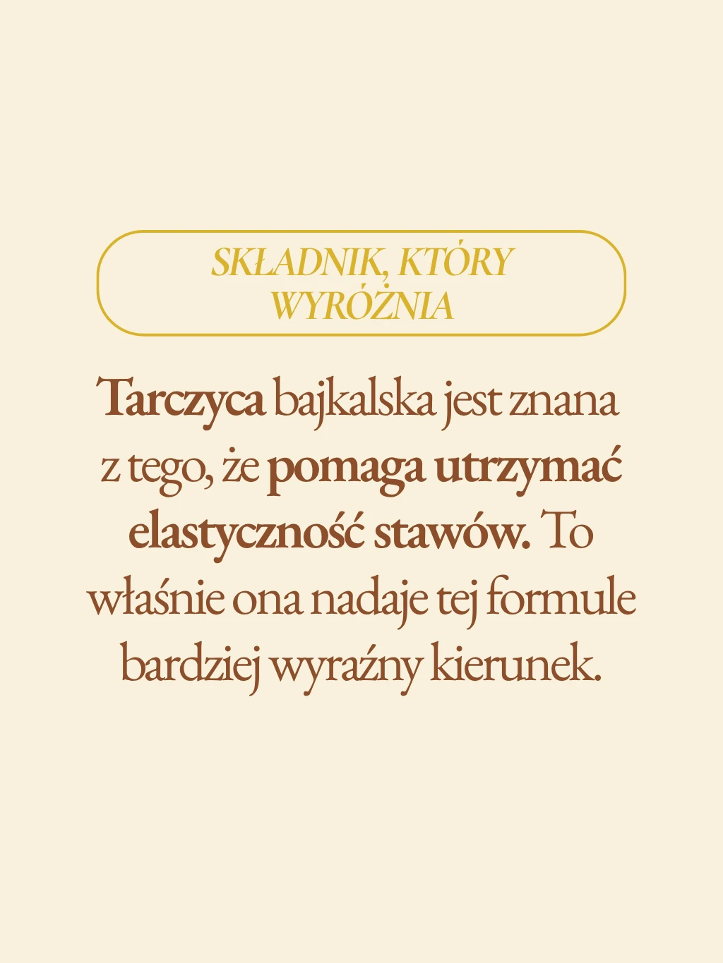 Stawy - formuła ziołowa - 6
