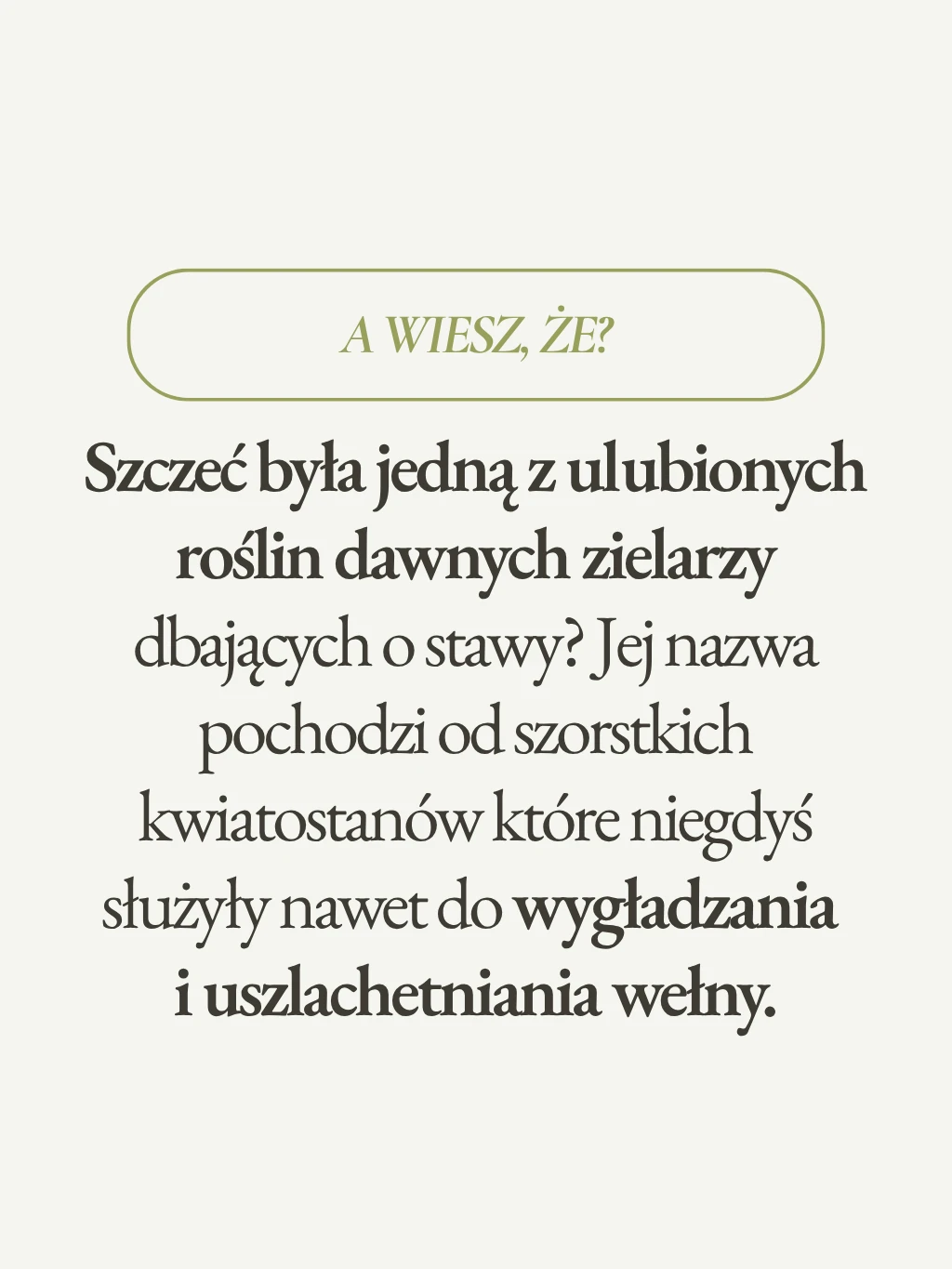 Szczeć - 6