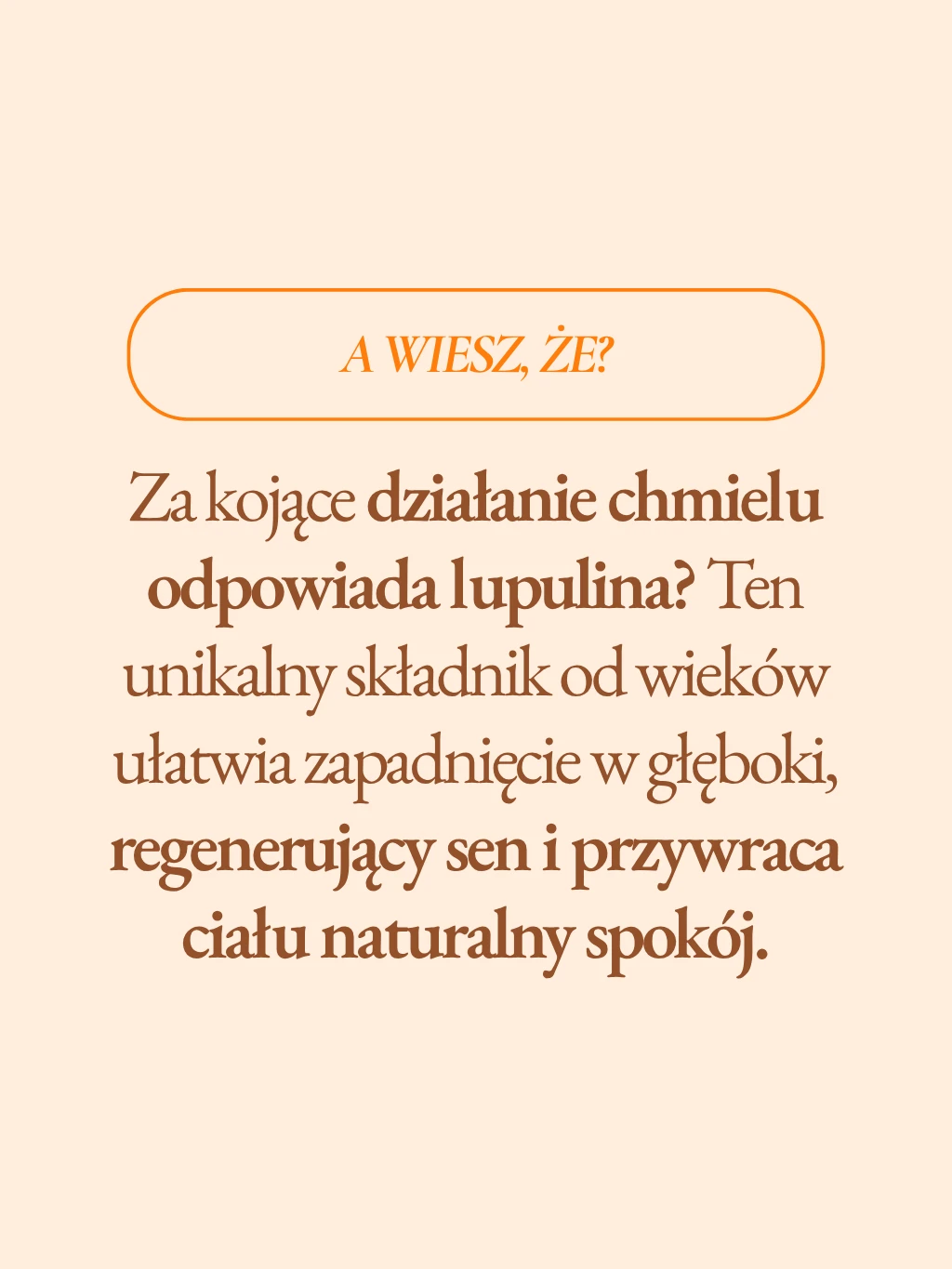 Szyszka chmielu - 6
