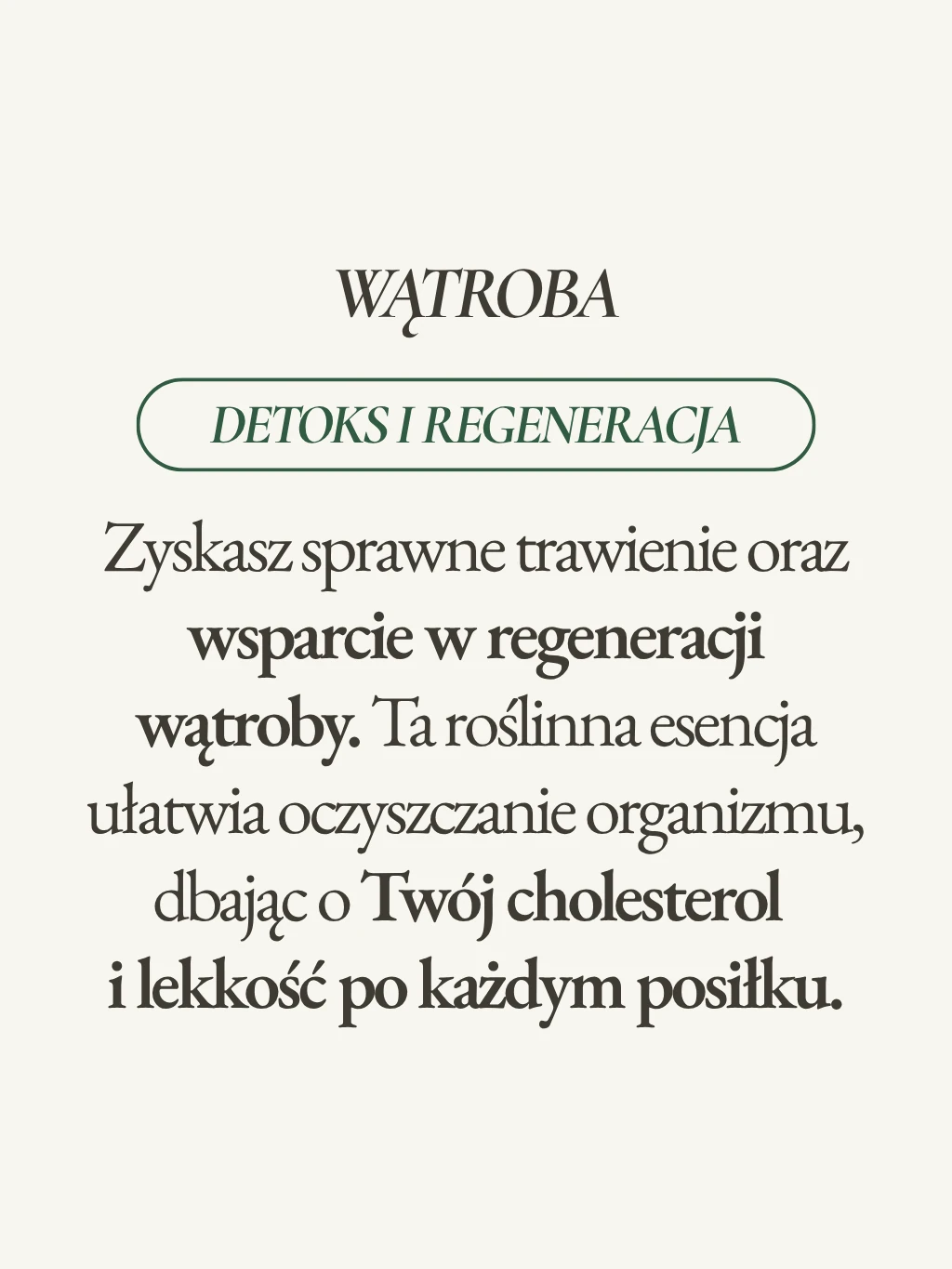 Wątroba - formuła ziołowa - 2